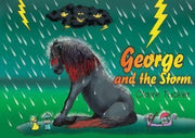 George & The Storm