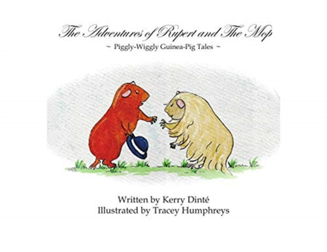 The Adventures Of Rupert And The Mop : P