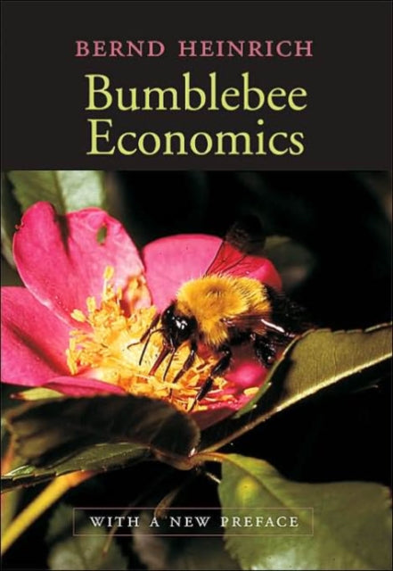Bumblebee Economics New Preface