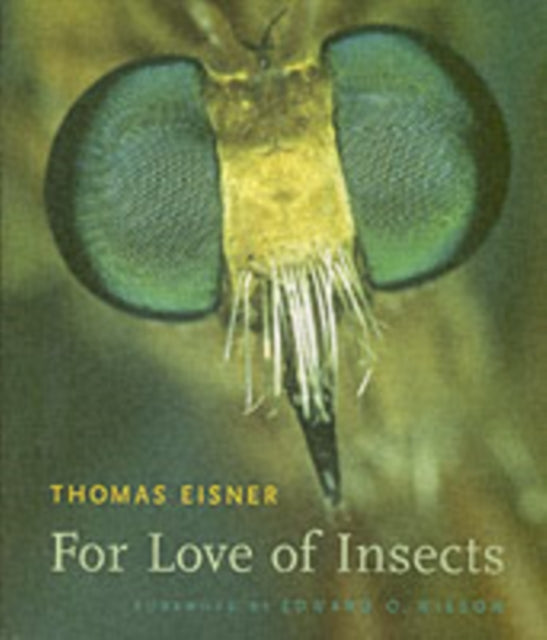 For Love Of Insects