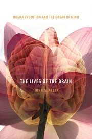The Lives Of The Brain Human Evolution