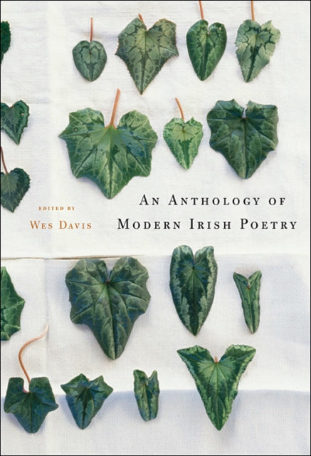 Anthology Of Modern Irish Poetry