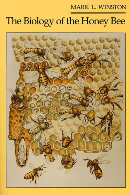 Biology Of The Honey Bee