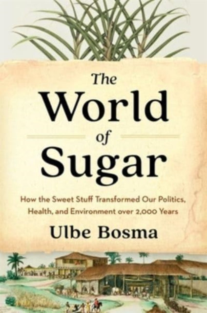 World Of Sugar
