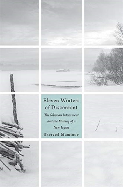 Eleven Winters Of Discontent By Muminov, Sherzod