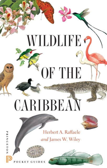 Wildlife Of The Caribbean By Raffaele, Herbert A.