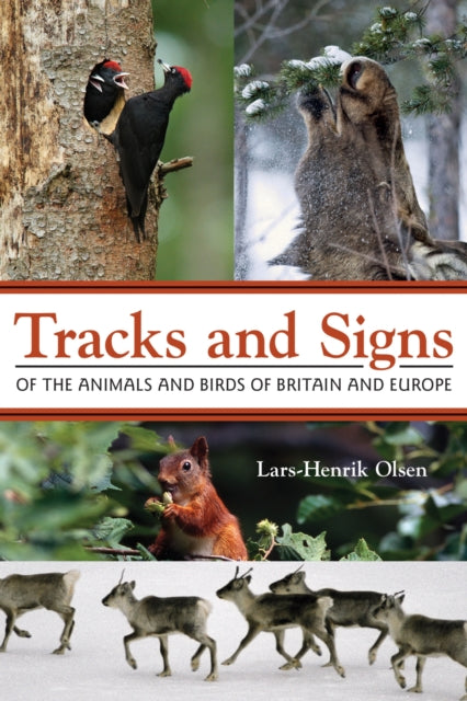 Tracks & Signs/animals Birds Of Brit/eur