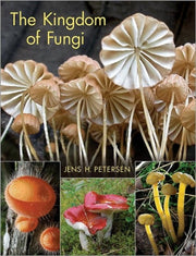 Kingdom Of Fungi By Petersen, Jens H