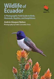 Wildlife Of Ecuador By V Squez N., Andr S