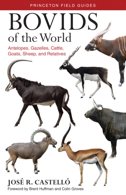 Bovids Of The World By Castello, Jose