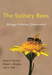 Solitary Bees The