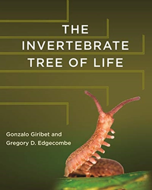Invertebrate Tree Of Life The By Giribet, Gonzalo