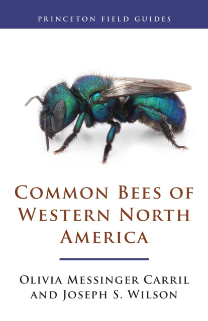 Common Bees Of Western North America