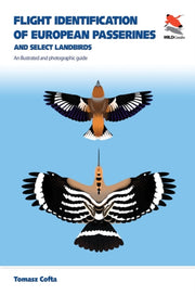 Flight Identification Guide To European