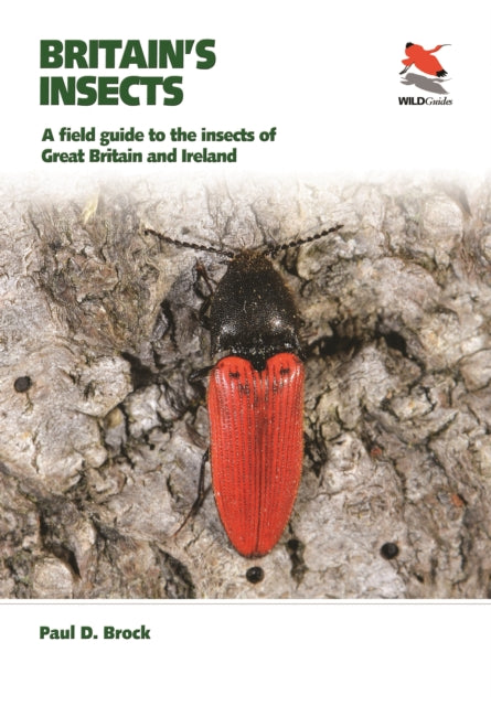 Britains Insects