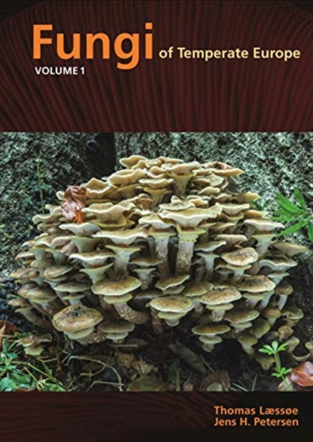 Fungi Of Temperate Europe By Laessoe, Thomas