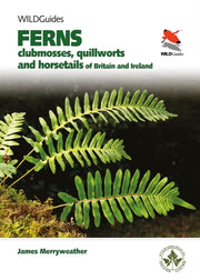 Britains Ferns Clubmosses Quillworts & H By Merryweather, James