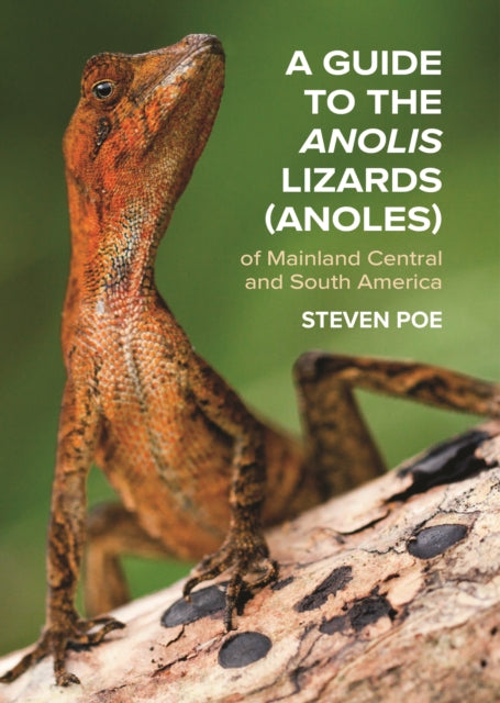 Guide To The Anolis Lizards (anoles) Of