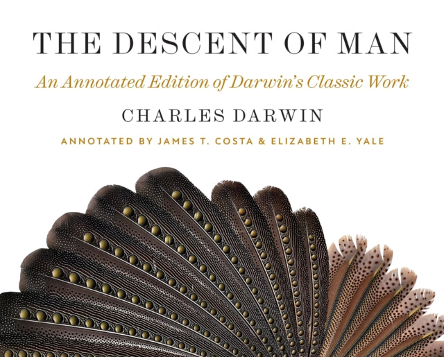 Descent Of Man