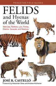 Felids & Hyenas Of The World By Castello, Jose R.