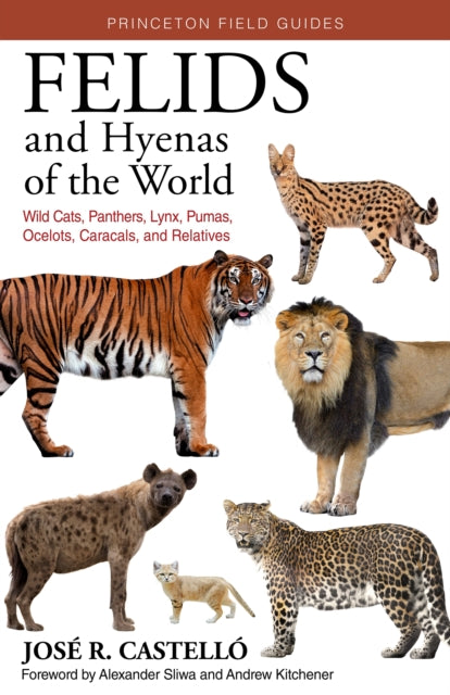 Felids & Hyenas Of The World