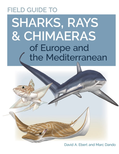 Field Guide To Sharks Rays & Chimaeras O