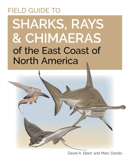 Field Guide To Sharks Rays & Chimaeras