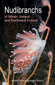 Nudibranchs Of Britain Ireland/northwest By Picton, Bernard