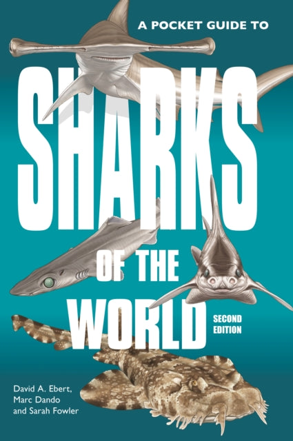 Pocket Guide To Sharks Of The World