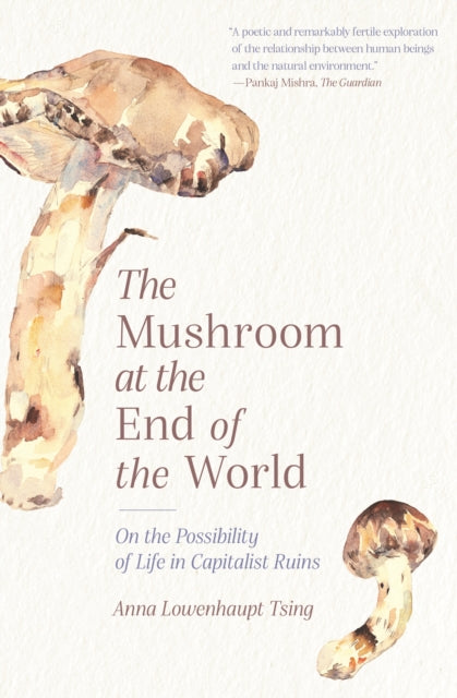 Mushroom At The End Of The World By Tsing, Anna L