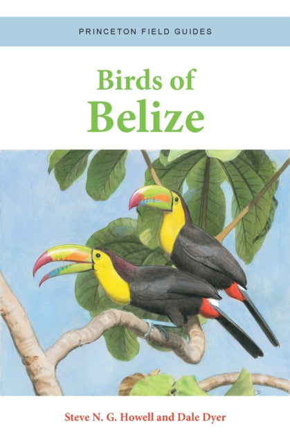 Birds Of Belize