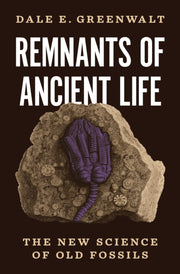 Remnants Of Ancient Life