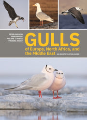 Gulls Of Europe North Africa And The By Adriaens, Peter