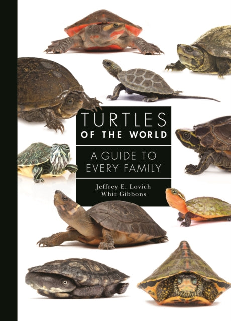 Turtles Of The World 8211 A Guide To