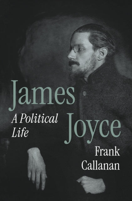 James Joyce A Political Life By Callanan, Frank