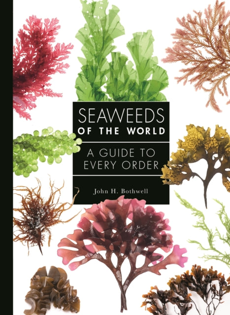 Seaweeds Of The World
