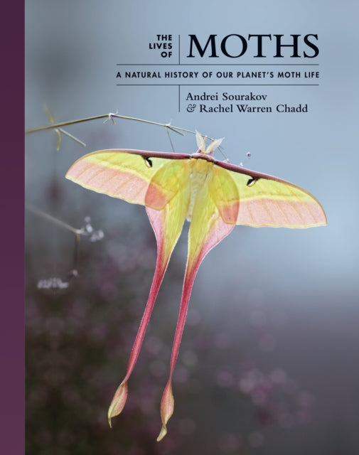 Lives Of Moths