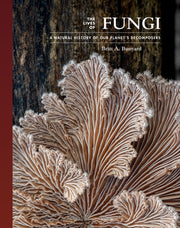 Lives Of Fungi By Bunyard, Britt