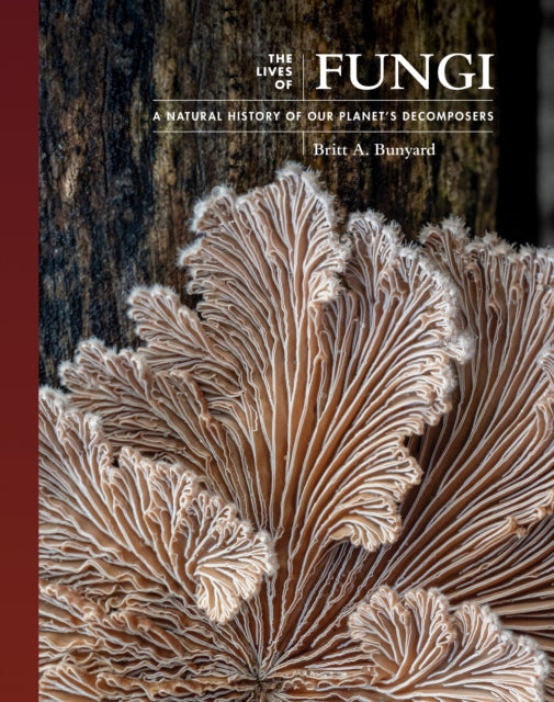 Lives Of Fungi