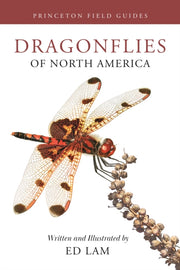 Dragonflies Of North America By Lam, Ed