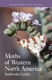 Moths Of Western North America By Leckie, Seabrooke