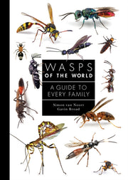 Wasps Of The World