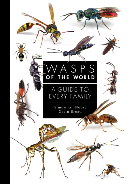 Wasps Of The World