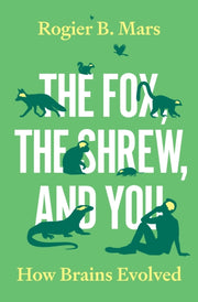 Fox The Shrew & You