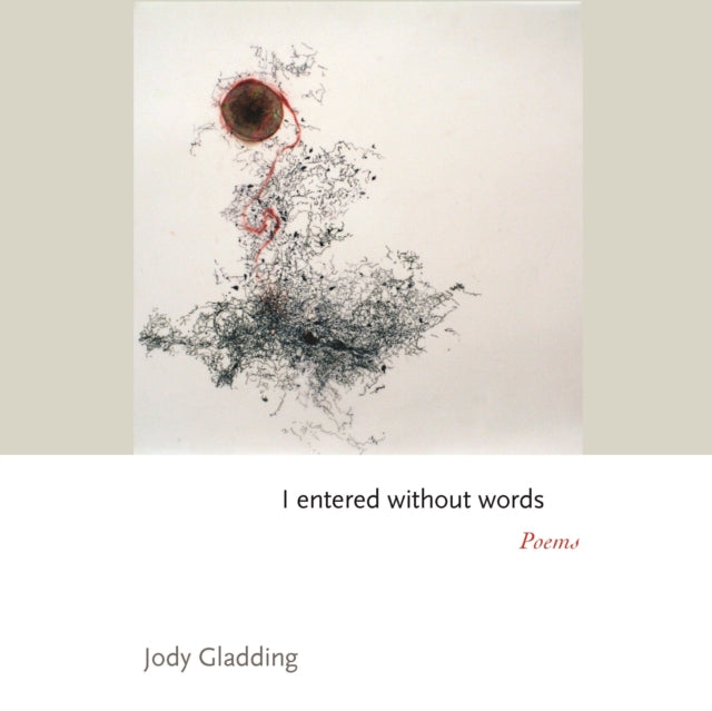 I Entered Without Words 8211 Poems
