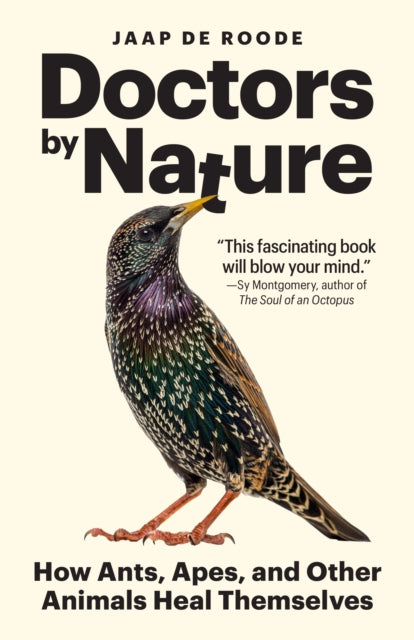 Doctors By Nature How Ants Apes And O By Deroode, Jaap