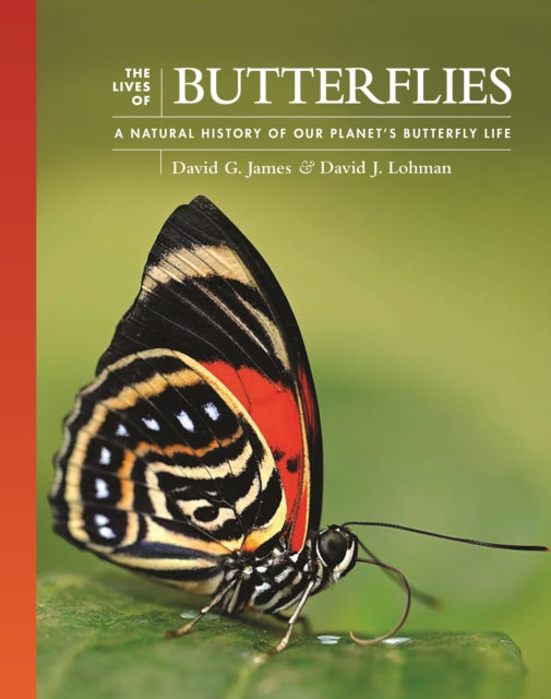 Lives Of Butterflies