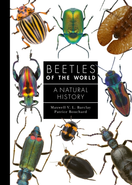 Beetles Of The World 8211 A Natural By Barclay, Maxwell V L
