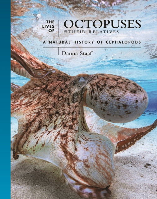 Lives Of Octopuses And Their Relations By Staaf, Danna