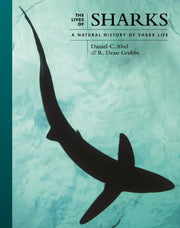 Lives Of Sharks By Abel, Daniel C.